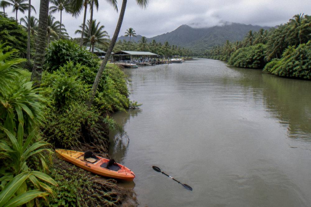 A wide jungle river with dense green vegetation along both banks