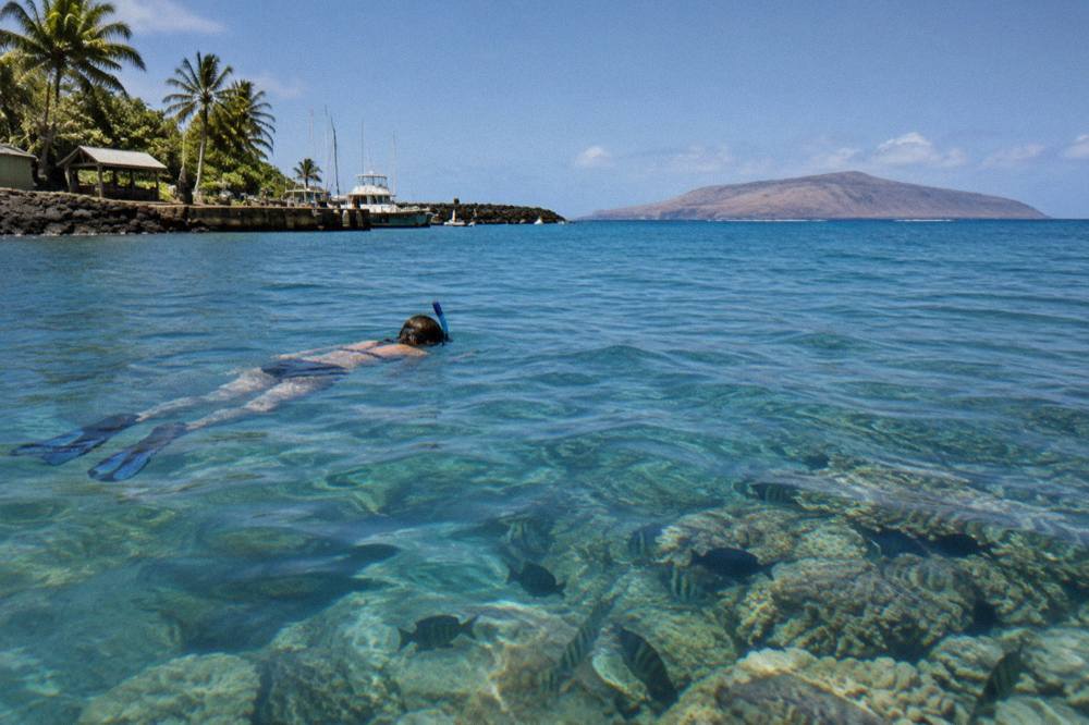 A snorkeler floating in clear water above a coral reef with a rugged island silhouette in the distance