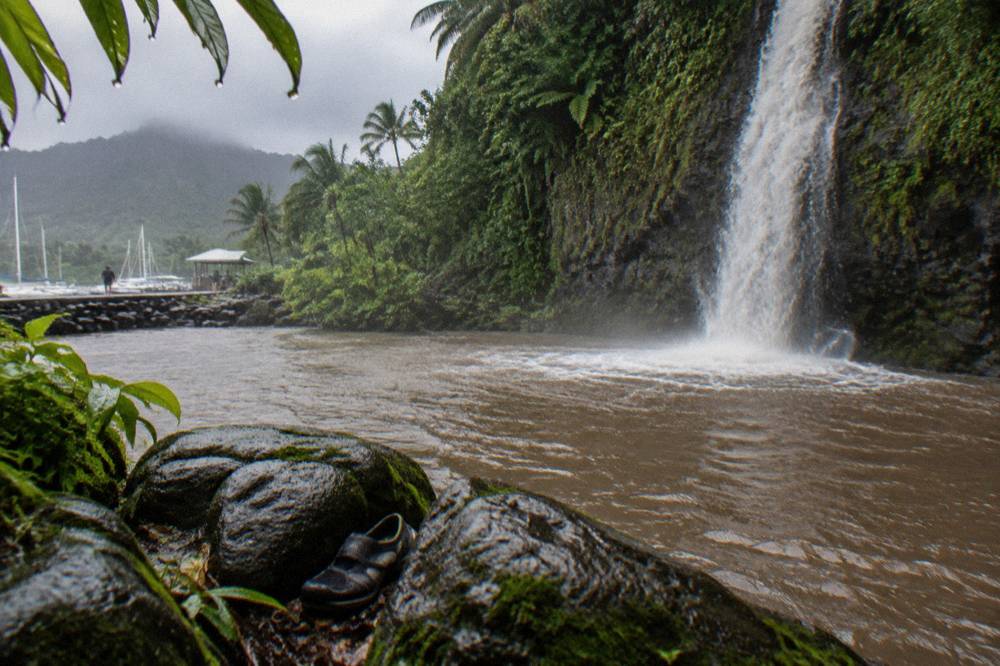 A tall narrow waterfall dropping down a dark green cliff into a rocky pool ringed by jungle plants
