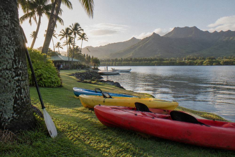 A lineup of colorful sit-on-top kayaks on a grassy riverbank next to calm water