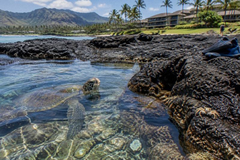 Kauai in summer
