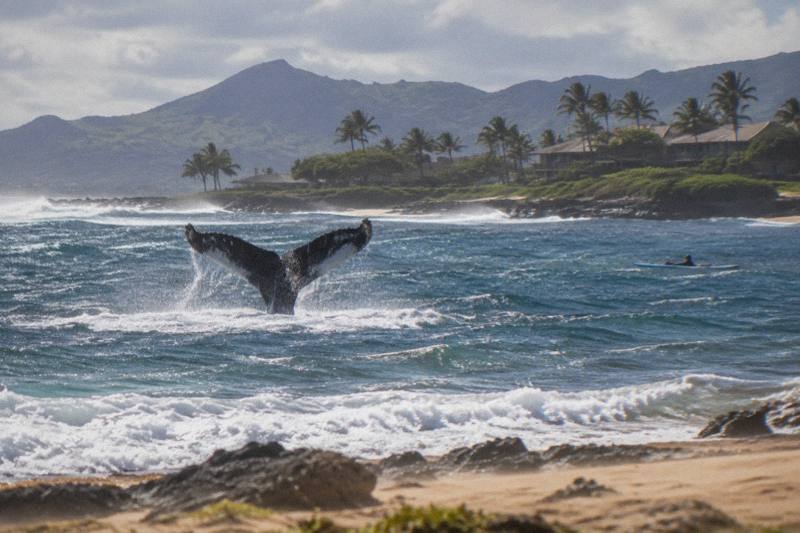 Kauai in winter